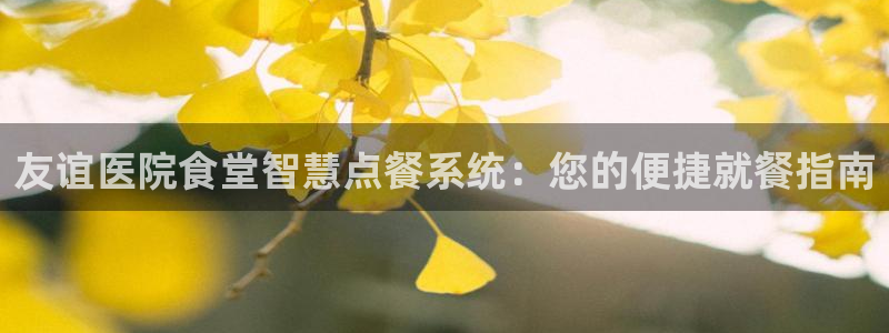凯时尊龙官网网址