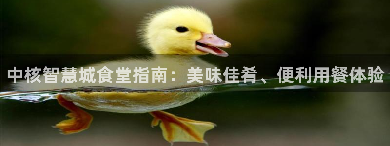 尊龙官方身高