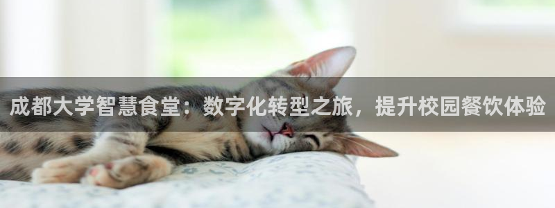 尊龙人生手机版都去ag发财网