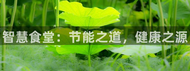 尊龙凯时赢不了