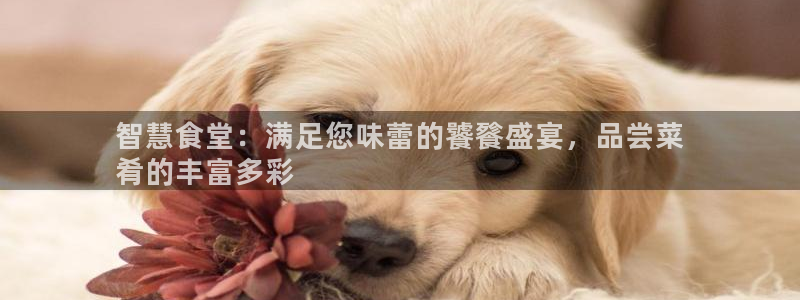 尊龙凯时提不了款