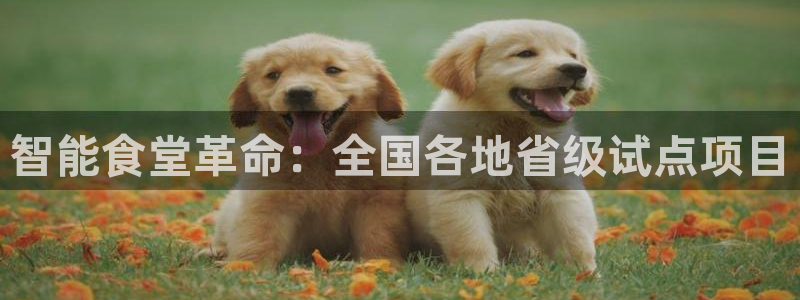 kb88凯时SO权威AG发财网