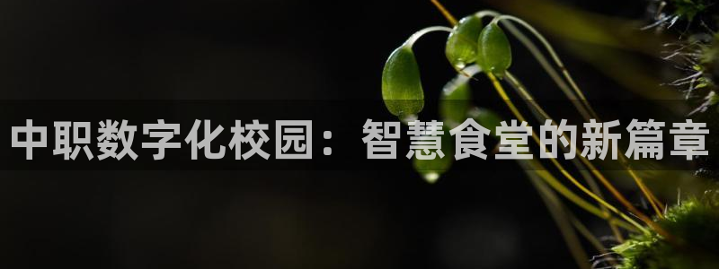 kb88凯时会员登录