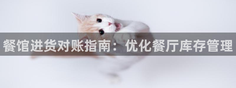 尊龙人生就是博旧：餐馆进货对账指南：优化餐厅库存管理