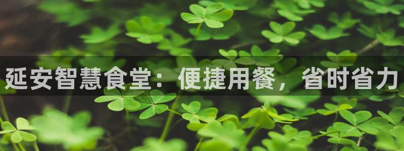 尊龙t400和尊龙t300区别