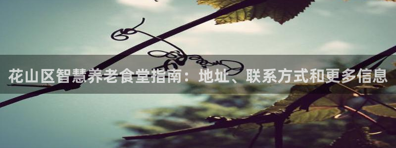 尊龙人生就是博官方官网：花山区智慧养老食堂指南：地址、联系方