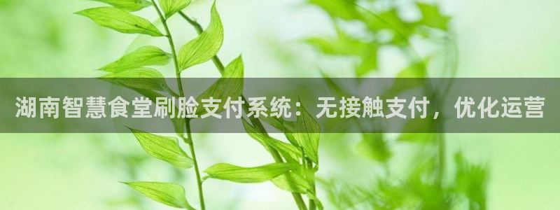 尊龙凯时z6官网：湖南智慧食堂刷脸支付系统：无接触支付，优化