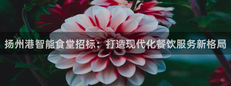 国际凯时ag优质运营商：扬州港智能食堂招标：打造现代化餐饮服
