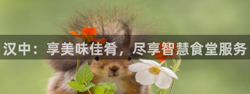 尊龙凯时人生就是博·(中国)：汉中：享美味佳肴，尽享智慧食堂