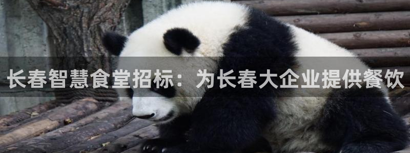 尊龙人生就是博l：长春智慧食堂招标：为长春大企业提供餐饮