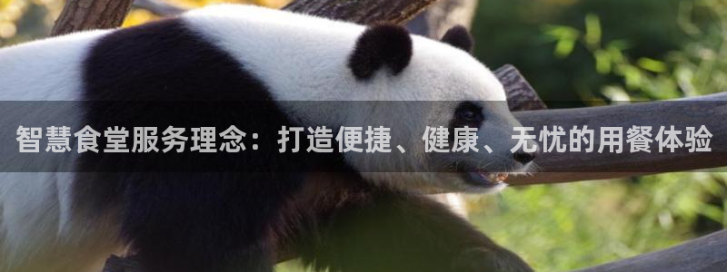 尊龙凯时一人生就是博登入