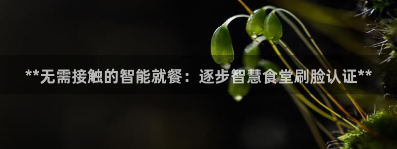尊龙AG发财网