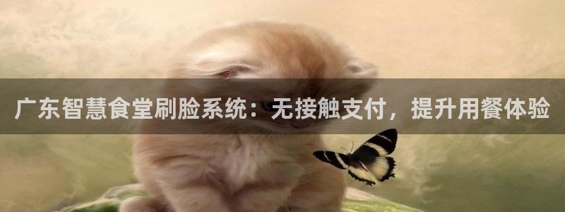 凯时ag旗舰厅网址是什么