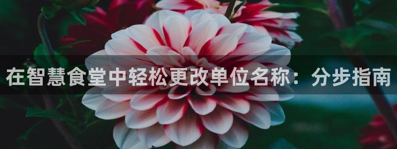 尊龙官网在哪里