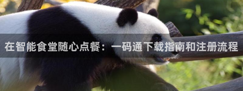 尊龙凯时代理佣金发不发