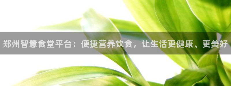 尊龙凯时网