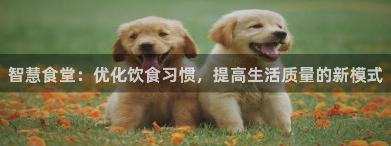 尊龙平台有谁玩过