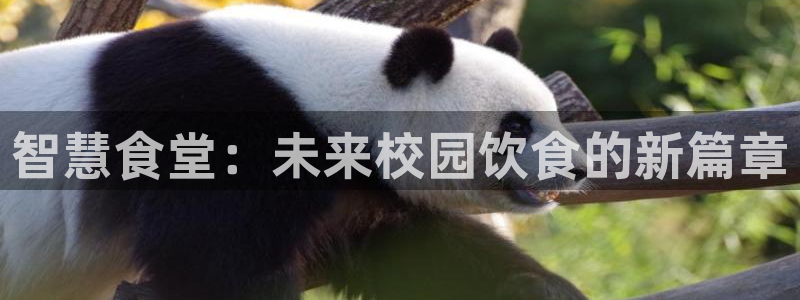 尊龙凯时产品系列